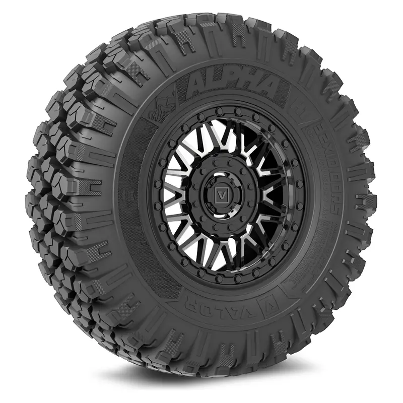 Alpha V08 (Dark Tint) Wheel & Tire Package 1