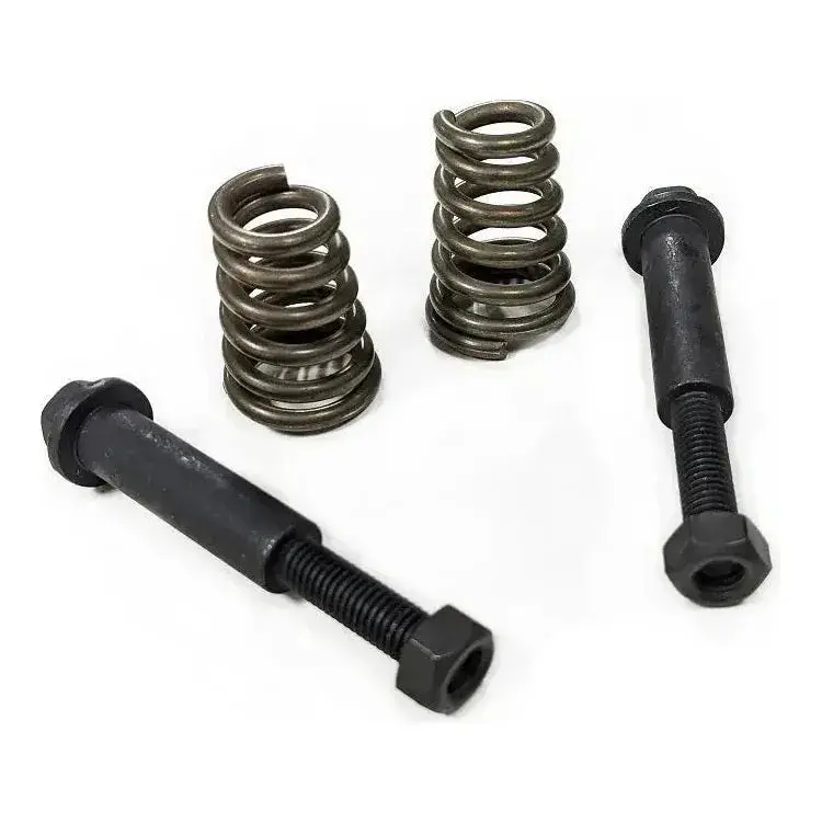 Polaris Exhaust Bolt & Spring Kit 1