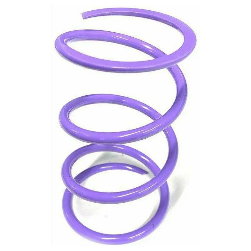 Polaris Rzr Turbo Secondary Springs 1