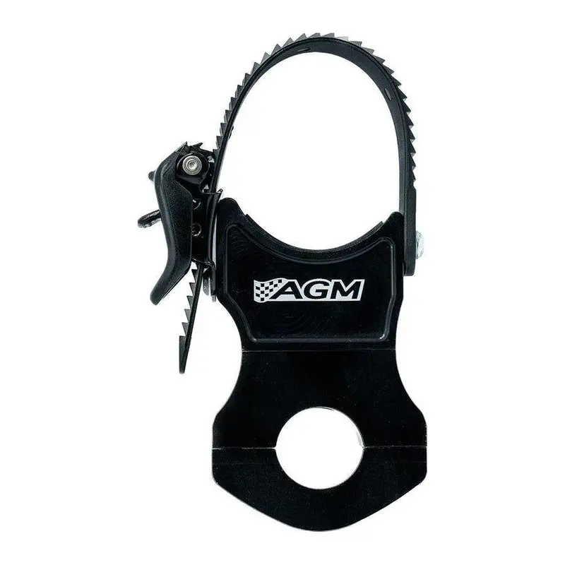 Quick Clamp Roll Cage Mount 1